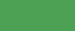 Vert (#16A34A)