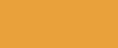 Orange (#F59E0B)