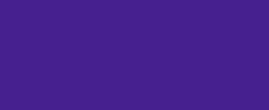 Prune (#4C1D95)